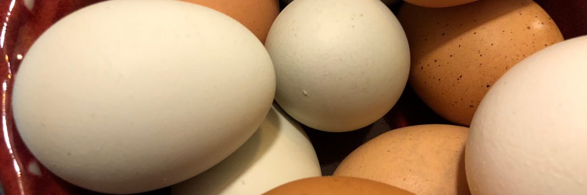 Bowl full of eggs
