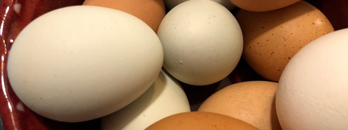 Bowl full of eggs