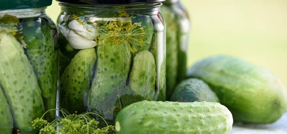 Cucumbers and dill in pickling jars