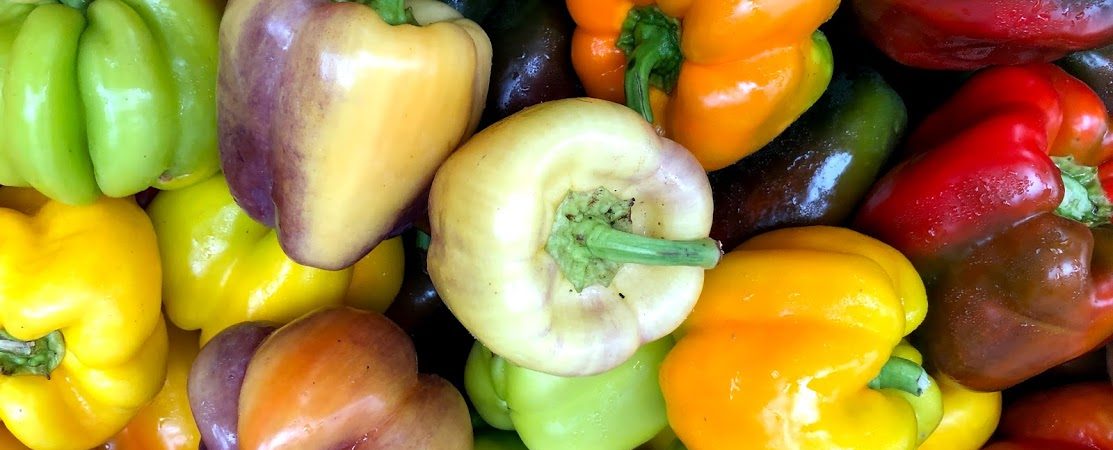 Parker_Farms_sweet_peppers_CDFM