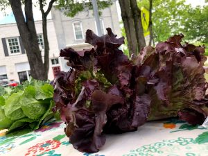 Lettuce at Tsara Farms booth at Cary Downtown Farmers Market, photo by Kerry Mead