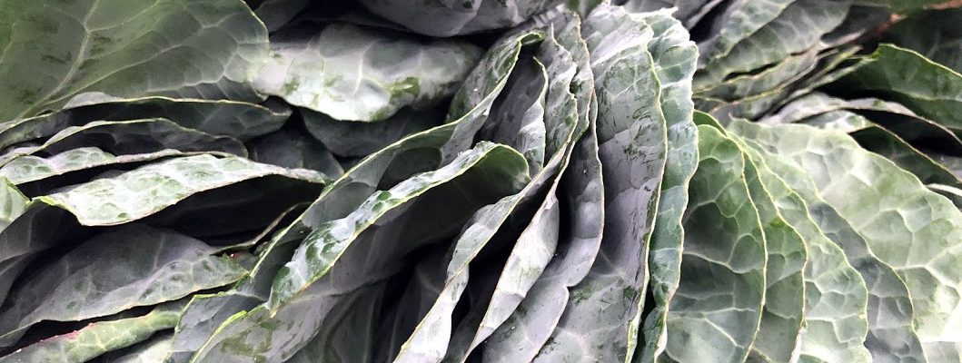 Brussels sprouts greens at Parker Farms booth at Cary Downtown Farmers Market
