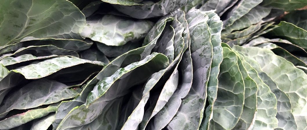 Brussels sprouts greens at Parker Farms booth at Cary Downtown Farmers Market