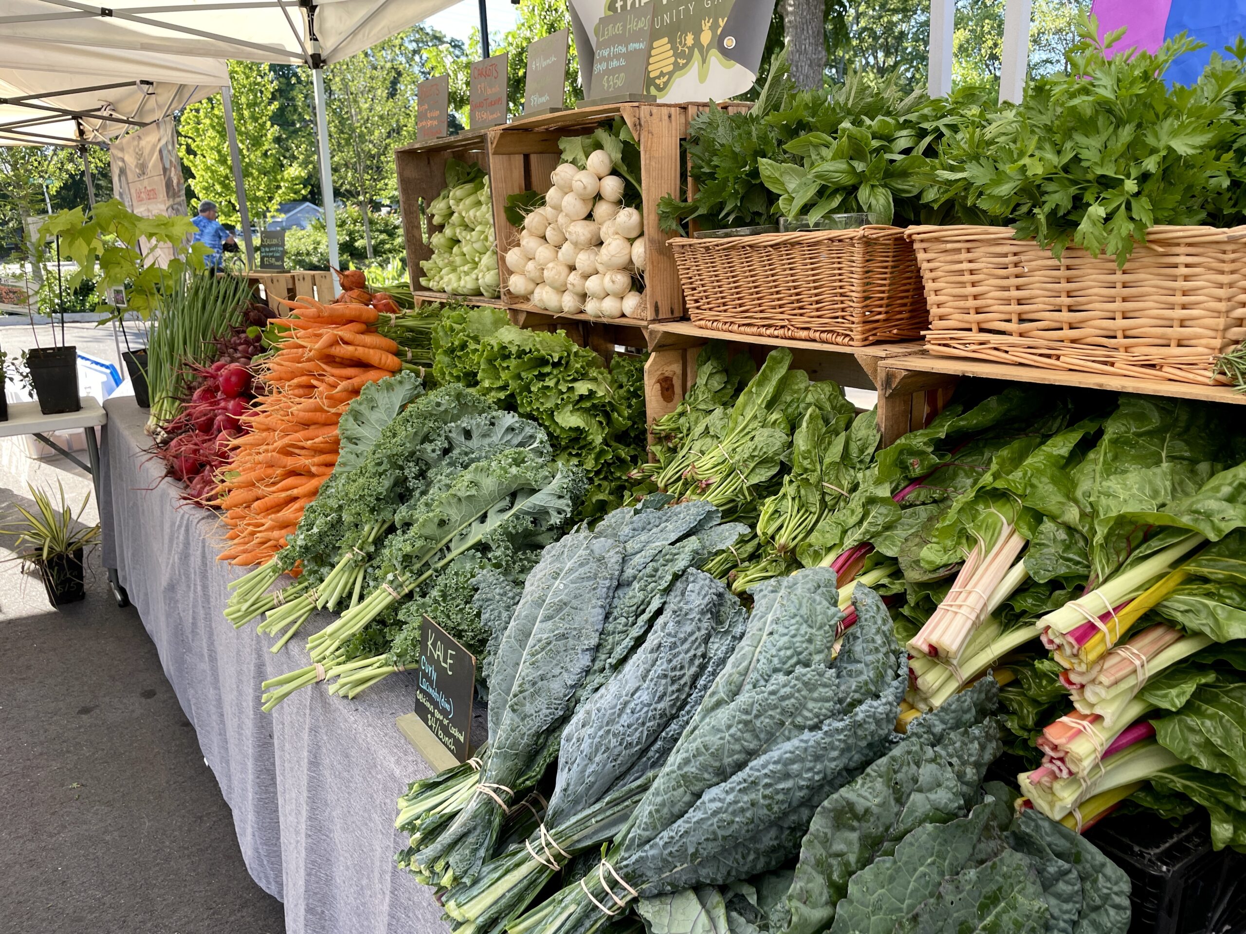 Lush Produce - Horizontal